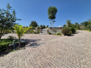 umber tree a nature side heaven resort