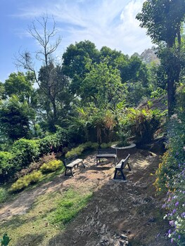 hilltop munnar by fracspace