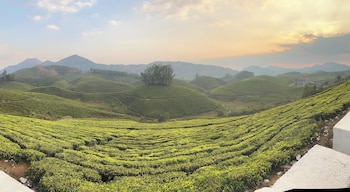 hilltop munnar by fracspace