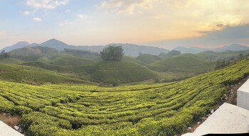 hilltop munnar by fracspace