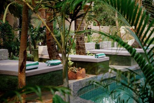 altr nativ morjim goa