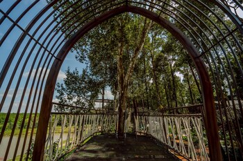 high tree resort co ltd