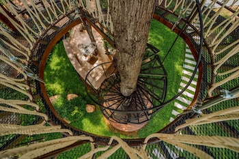 high tree resort co ltd