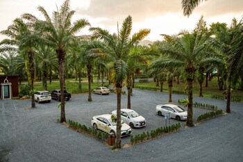 high tree resort co ltd