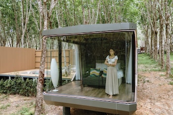 timber society boutique hideaway