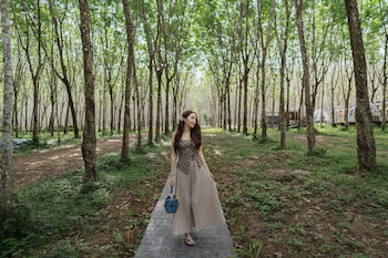 timber society boutique hideaway