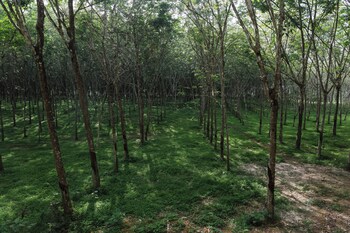 timber society boutique hideaway