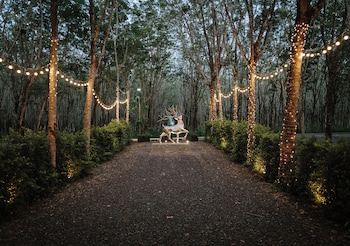 timber society boutique hideaway