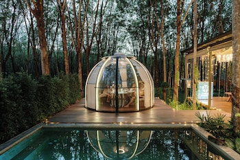 timber society boutique hideaway