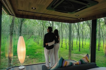 timber society boutique hideaway