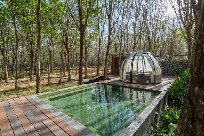 timber society boutique hideaway