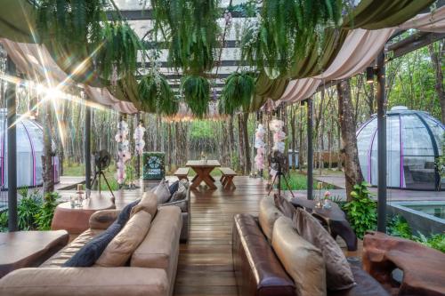 timber society boutique hideaway