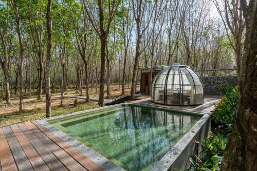 timber society boutique hideaway