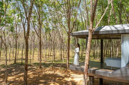 timber society boutique hideaway