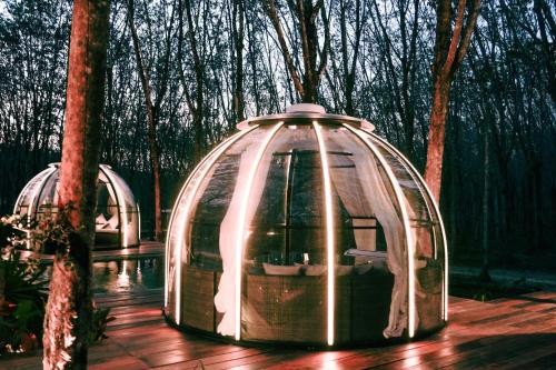 timber society boutique hideaway