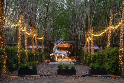 timber society boutique hideaway