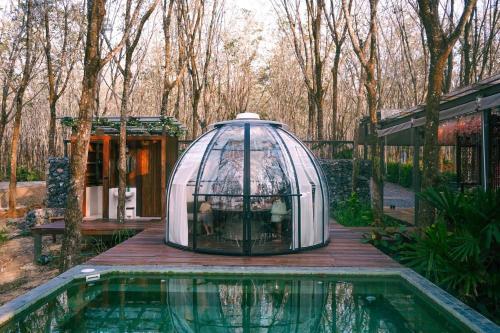 timber society boutique hideaway