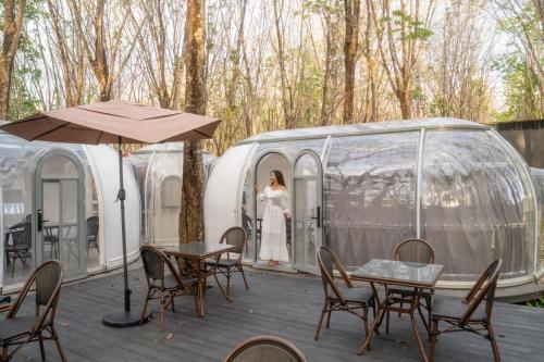 timber society boutique hideaway