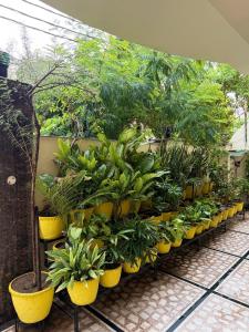 madhuraj villa