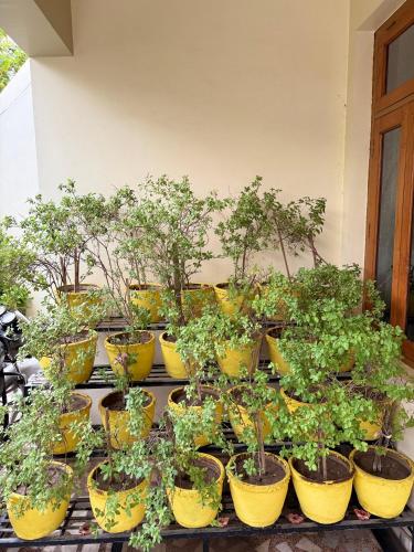 madhuraj villa