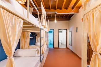 moustache daman adults only