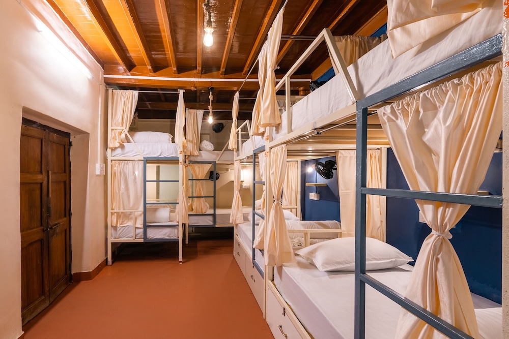 moustache daman adults only