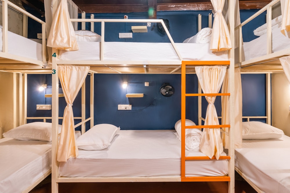 moustache daman adults only