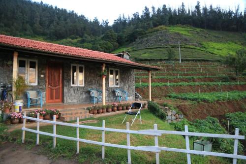 wild and free farm stay