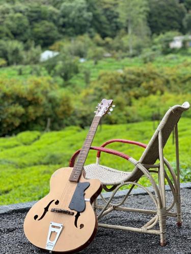 wild and free farm stay