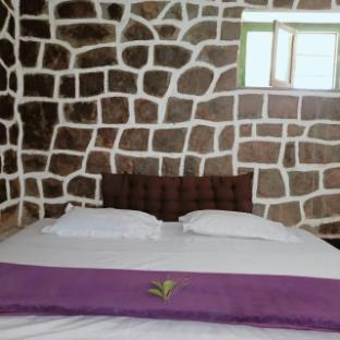 wild and free farm stay