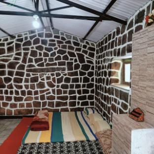wild and free farm stay