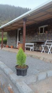 wild and free farm stay