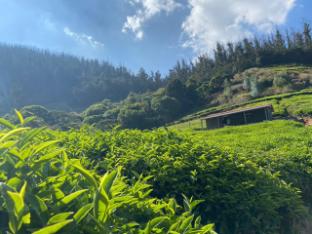 Wild And Free Farm Stay,,4 star