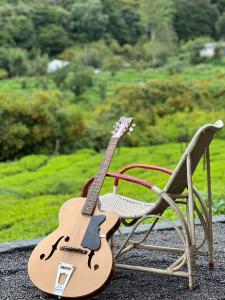 wild and free farm stay