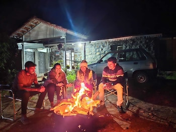 wild and free farm stay