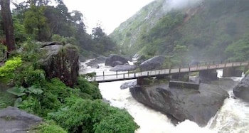 hillsidecreek homestay