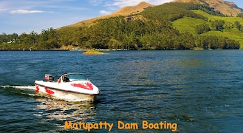 hillsidecreek homestay