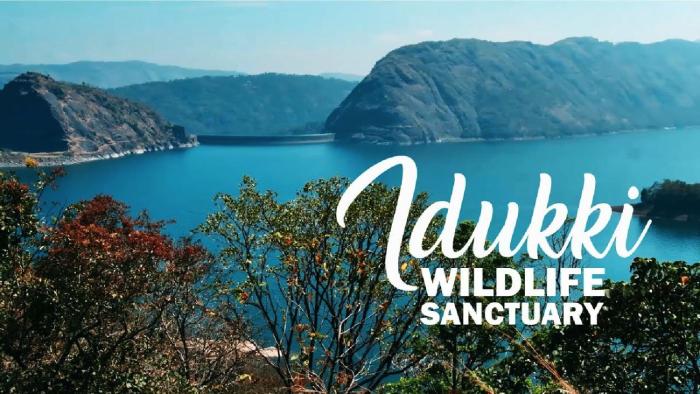 hillsidecreek homestay