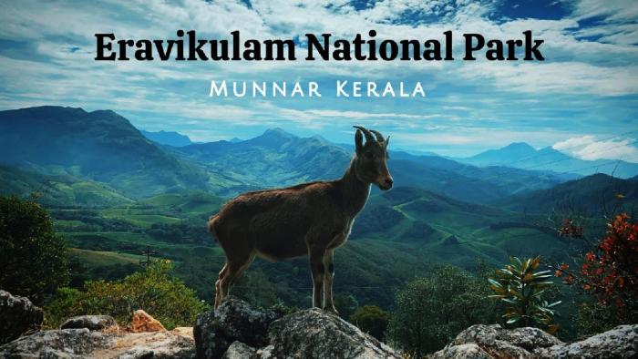 hillsidecreek homestay