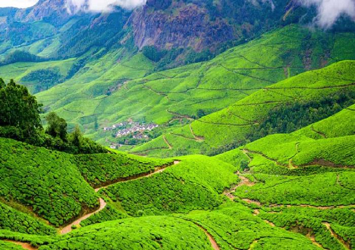 hillsidecreek homestay