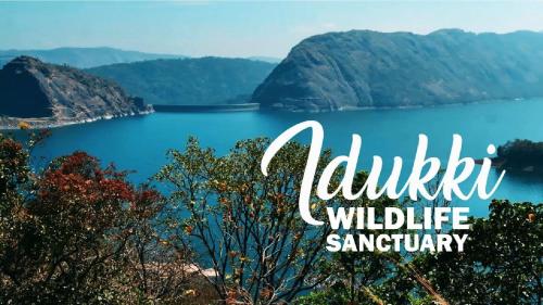 hillsidecreek homestay