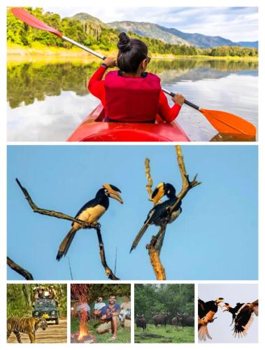 garden villa homestay ramnagar dandeli