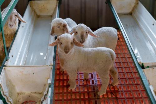 Abhishta Agri Farm Stay,,2 star