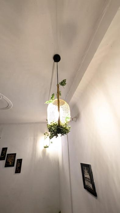 the greenview homestay