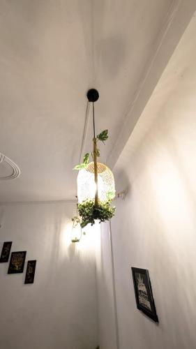 the greenview homestay