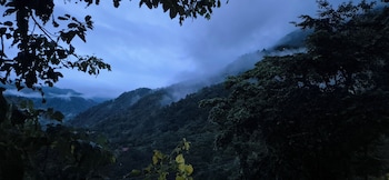 isol nature resort