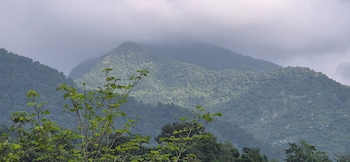 isol nature resort