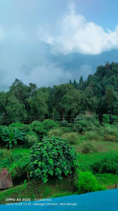 rishop mountain homestay