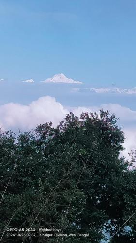 rishop mountain homestay