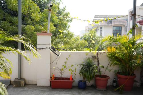 vacationbuddy blissful escape in jaipur